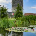 Milano Isola Officina Food Headquarter